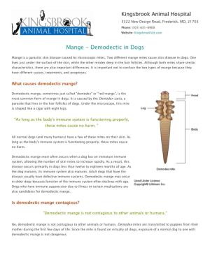 Mange - Demodectic in Dogs