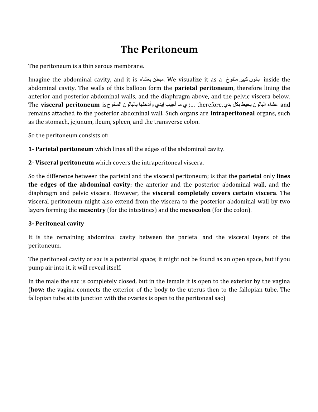 The Peritoneum