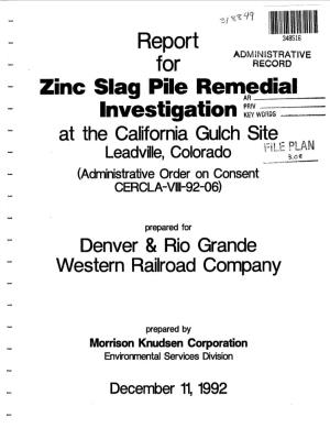 Final Report for Zinc Slag Pile Remedial Investigation