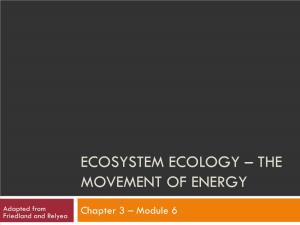 Ecosystem Ecology – the Movement of Energy