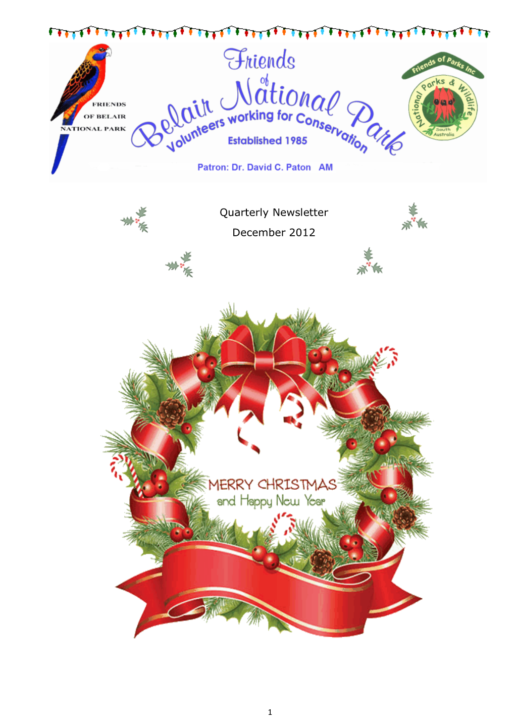 Quarterly Newsletter December 2012