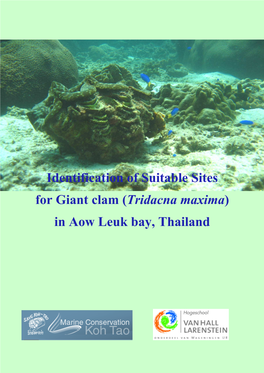 Identification of Suitable Sites for Giant Clam (Tridacna Maxima) in Aow