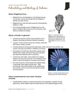 Elegantocrinus Hemisphaericus, the Elegant Sea Lily.Pdf