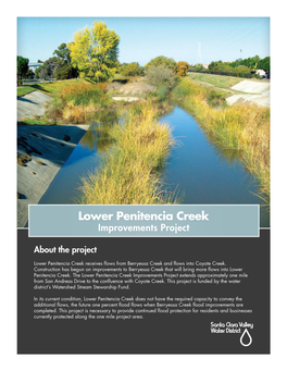 Lower Penitencia Creek Improvements Project
