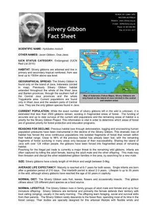 Silvery Gibbon Fact Sheet