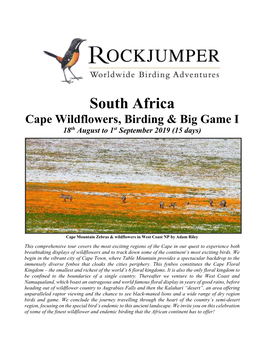 South Africa Cape Wildflowers, Birding & Big
