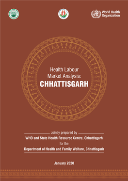 Health Labour Market Analysis: CHHATTISGARH