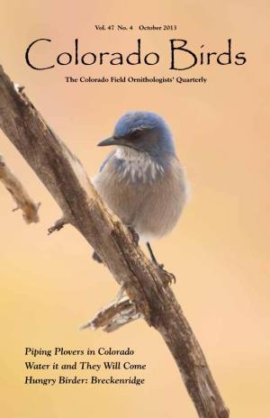 Colorado Birds the Colorado Field Ornithologists’ Quarterly