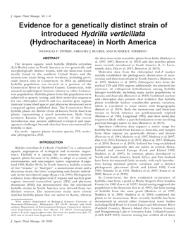 Evidence for a Genetically Distinct Strain of Introduced Hydrilla Verticillata (Hydrocharitaceae) in North America