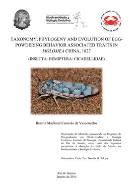 Taxonomy, Phylogeny and Evolution of Egg- Powdering Behavior Associated Traits in Molomea China, 1827 (Insecta: Hemiptera: Cicadellidae)