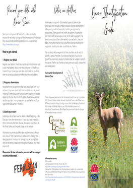 Deer Identification Guide