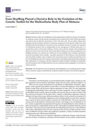 Exon Shuffling Played a Decisive Role in the Evolution of the Genetic Toolkit for the Multicellular Body Plan of Metazoa