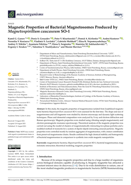 Magnetic Properties of Bacterial Magnetosomes Produced by Magnetospirillum Caucaseum SO-1