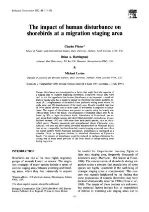 The Impact of Human Disturbance on Shorebirds at a Migration Staging Area