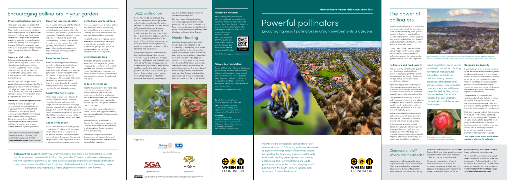 Powerful Pollinators Pollinators – Mostly Insects, but Also Birds Provide Floral Resources for Pollinators