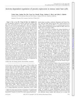 Activity-Dependent Regulation of Prestin Expression in Mouse Outer Hair Cells