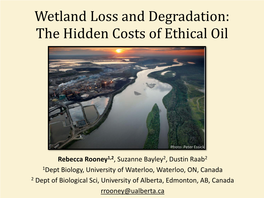 Wetland Loss and Degradation: the Hidden Costs of Ethical Oil