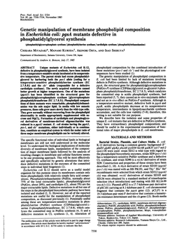 Phosphatidylglycerol Synthesis