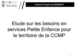 Etude Sur Les Besoins En Services Petite Enfance Pour Le Territoire De La CCMP