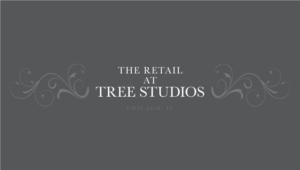 The Retail at Tree Studios, Chicago, IL