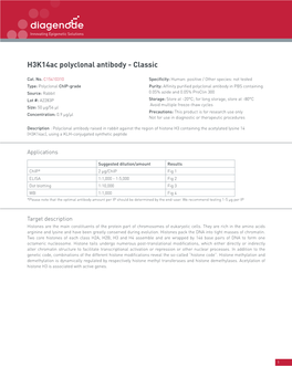 H3k14ac Polyclonal Antibody - Classic