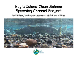 Eagle Island Chum Salmon Spawning Channel Project Todd Hillson, Washington Department of Fish and Wildlife Outline