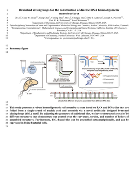 Branched Kissing Loops for the Construction of Diverse RNA Homooligomeric 2 Nanostructures 3 Di Liu1, Cody W