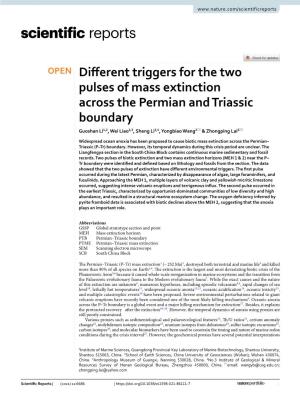 Different Triggers for the Two Pulses of Mass Extinction Across the Permian