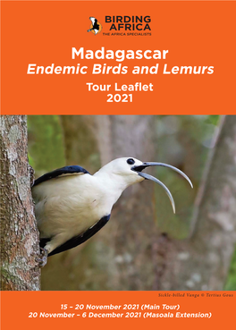 Madagascar Endemic Birds and Lemurs Tour Leaflet 2021