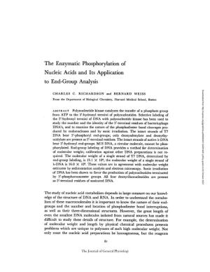 The Enzymatic Phosphorylation of Nucleic Acids and Its Application To