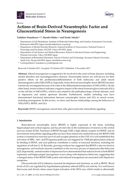 Actions of Brain-Derived Neurotrophic Factor and Glucocorticoid Stress in Neurogenesis
