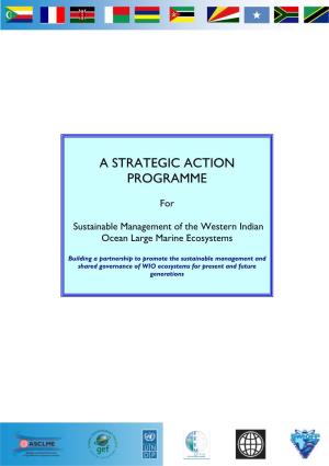 Strategic Action Programme (SAP)