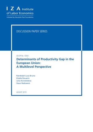 Determinants of Productivity Gap in the European Union: a Multilevel Perspective