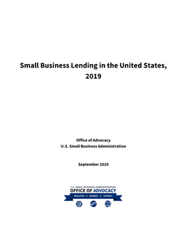 Small Business Lending in the United States, 2019