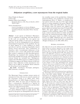 Didymium Xerophilum, a New Myxomycete from the Tropical Andes