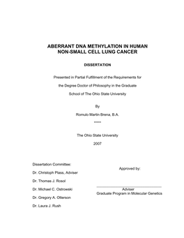 Aberrant Dna Methylation in Human Non-Small Cell Lung Cancer
