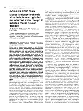 Mouse Moloney Leukemia Virus Infects Microglia but Not Neurons Even