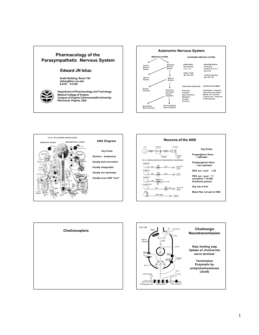 Pharmacology of the Parasympathetic Nervous System