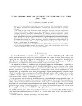 Galois Connections for Phylogenetic Networks and Their Polytopes