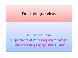Duck Plague Virus