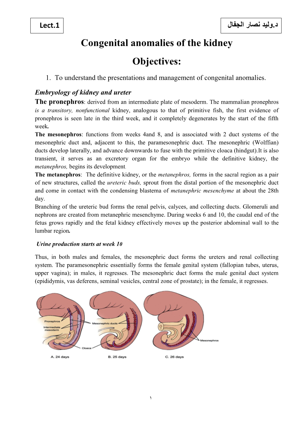 Congenital Anomalies of the Kidney Objectives