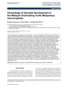 Chronology of Gonadal Development in the Malayan Snail-Eating Turtle Malayemys Macrocephala