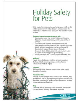 Holiday Safety for Pets
