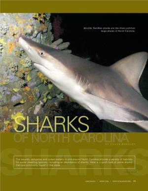 The Sounds, Estuaries and Ocean Waters in and Around North Carolina Provide a Variety of Habitats for Water-Dwelling Species, Including an Abundance of Sharks