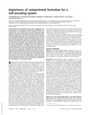Importance of Compartment Formation for a Self-Encoding System
