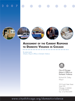 Assessment of the Current Response to Domestic Violence in Chicago (2007)
