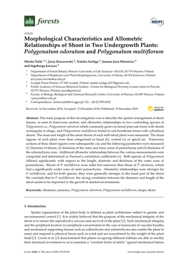 Morphological Characteristics and Allometric Relationships of Shoot in Two Undergrowth Plants: Polygonatum Odoratum and Polygonatum Multiﬂorum