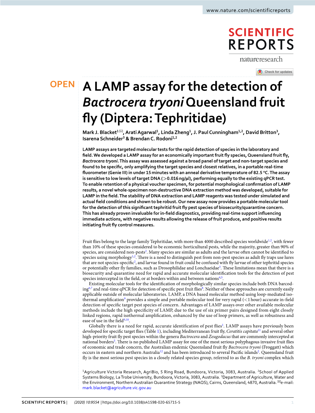 A LAMP Assay for the Detection of Bactrocera Tryoni Queensland Fruit Fy (Diptera: Tephritidae) Mark J