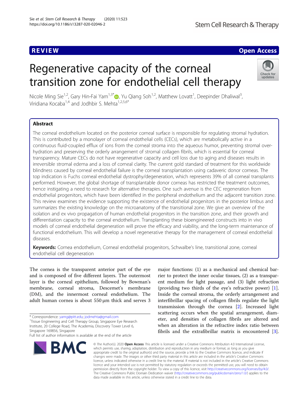 Regenerative Capacity of the Corneal Transition Zone for Endothelial Cell Therapy