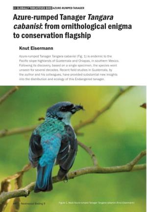 Azure-Rumped Tanager Tangara Cabanisi: from Ornithological Enigma to Conservation Flagship